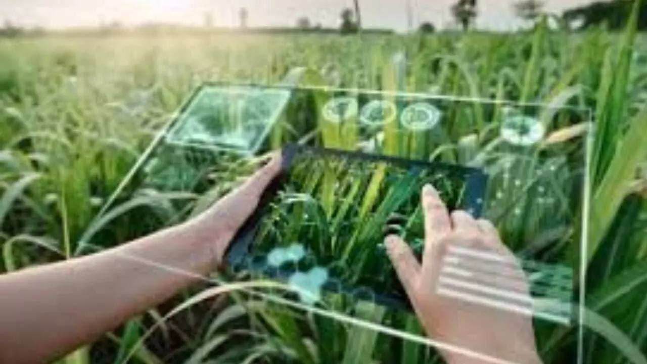WEF, GoI launch AI playbooks for SMEs and agriculture WEF, GoI launch AI playbooks for SMEs and agriculture