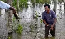 Chennai on Rain Alert as Cyclone ‘Montha’ Looms: IMD Warns of Severe Weather by October 28