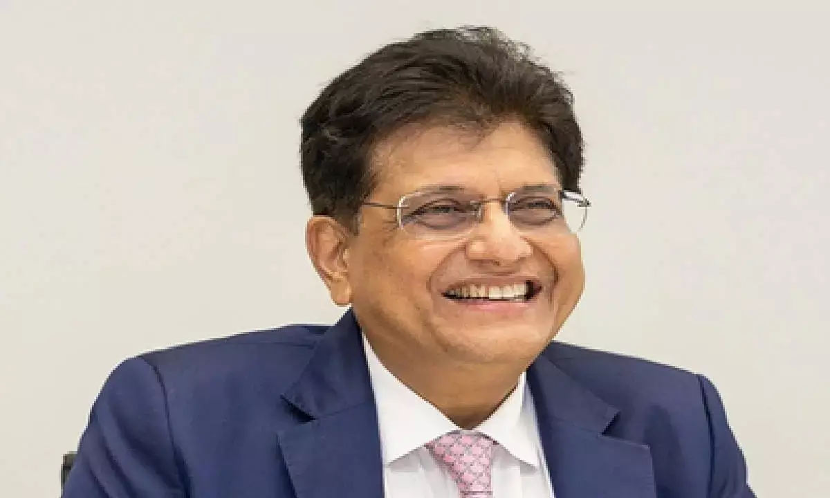 India offers huge investment options for Israel: Goyal