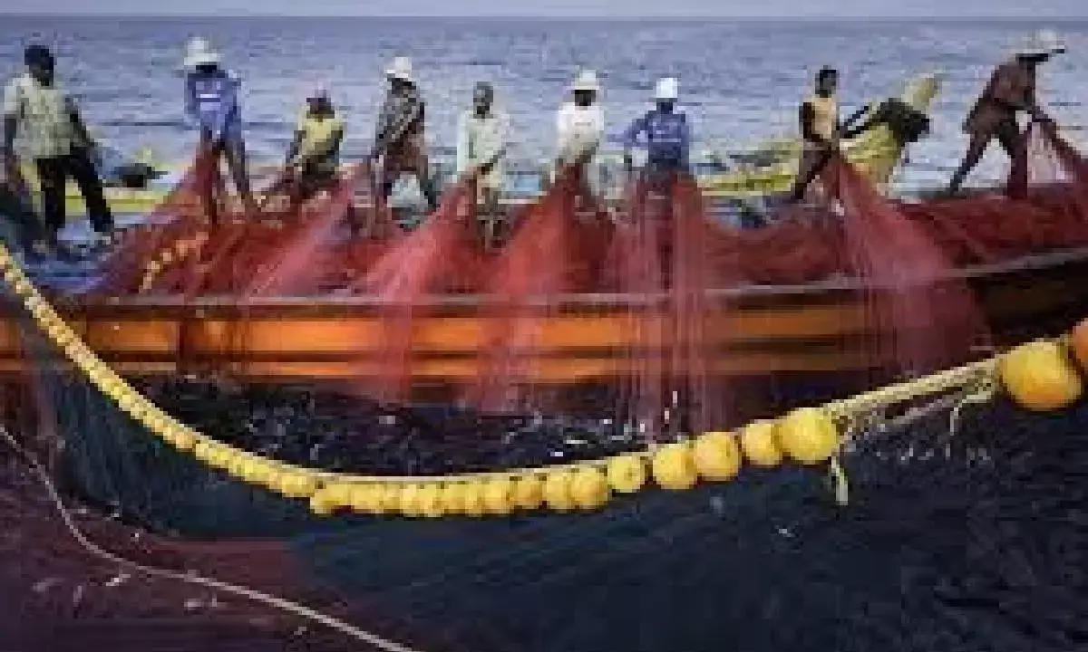 Deep-sea fishing vessels to fully utilise India’s potential: Amit Shah