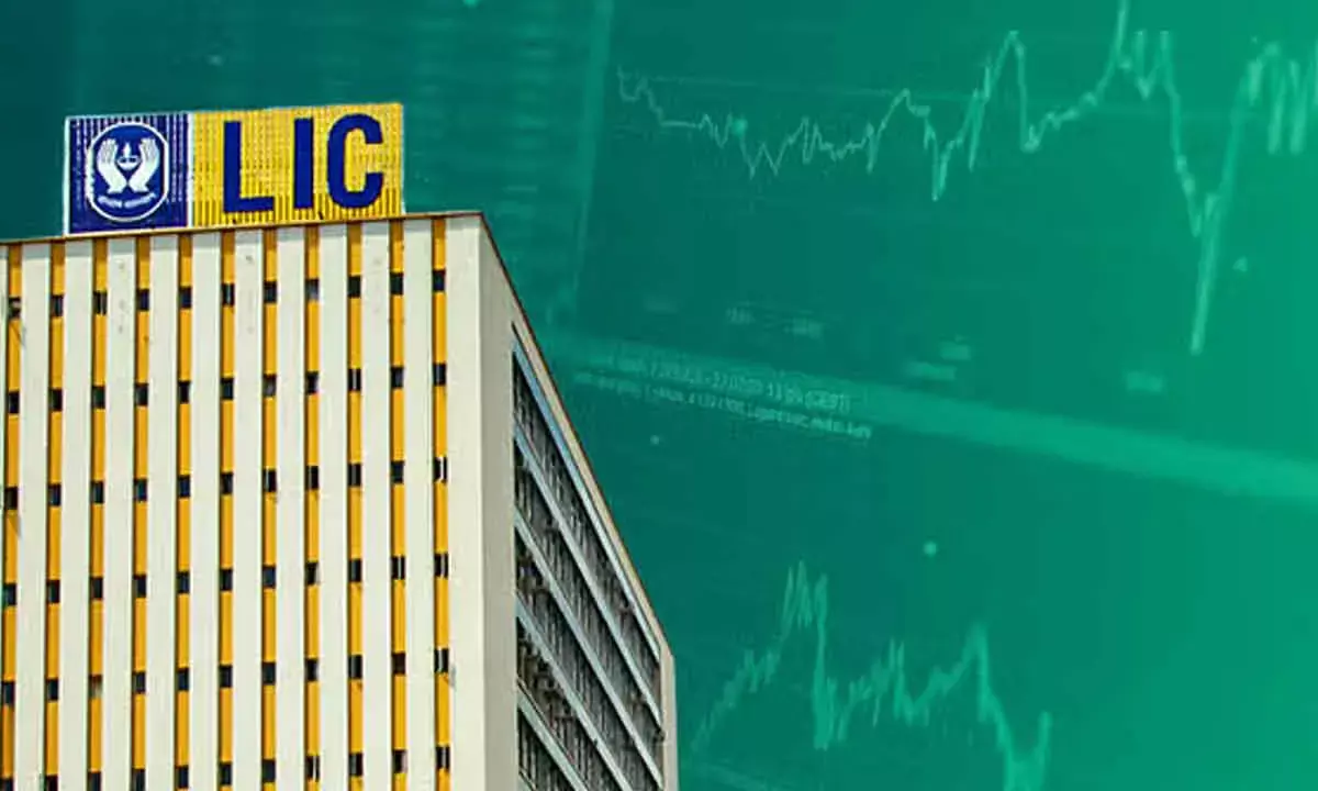 LIC stock surges 24.5% amid steady profit