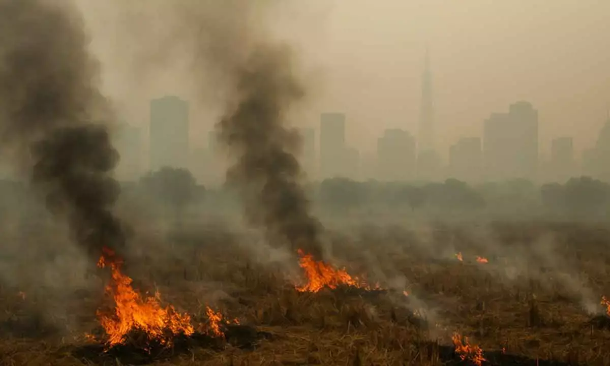 ‘Fireworks’ over air pollution chokes India