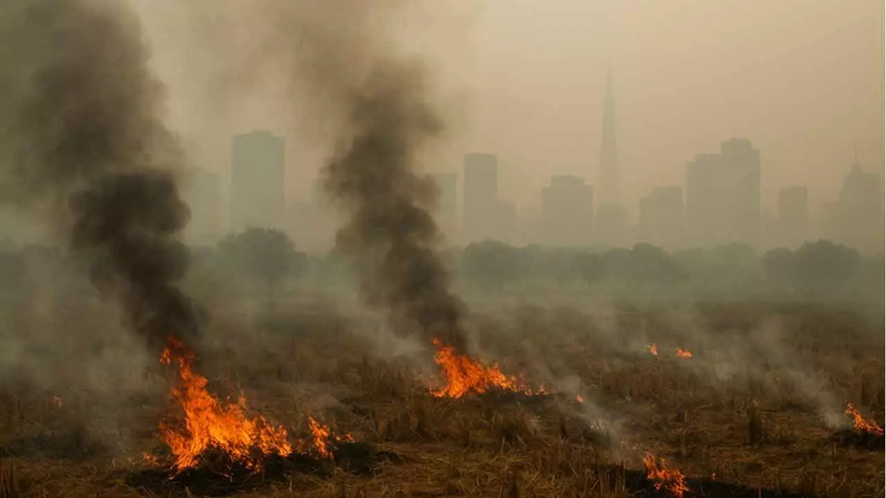 ‘Fireworks’ over air pollution chokes India