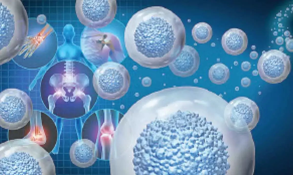 Stem cells sound magical, but theyre not all created equal. Heres what you need to know