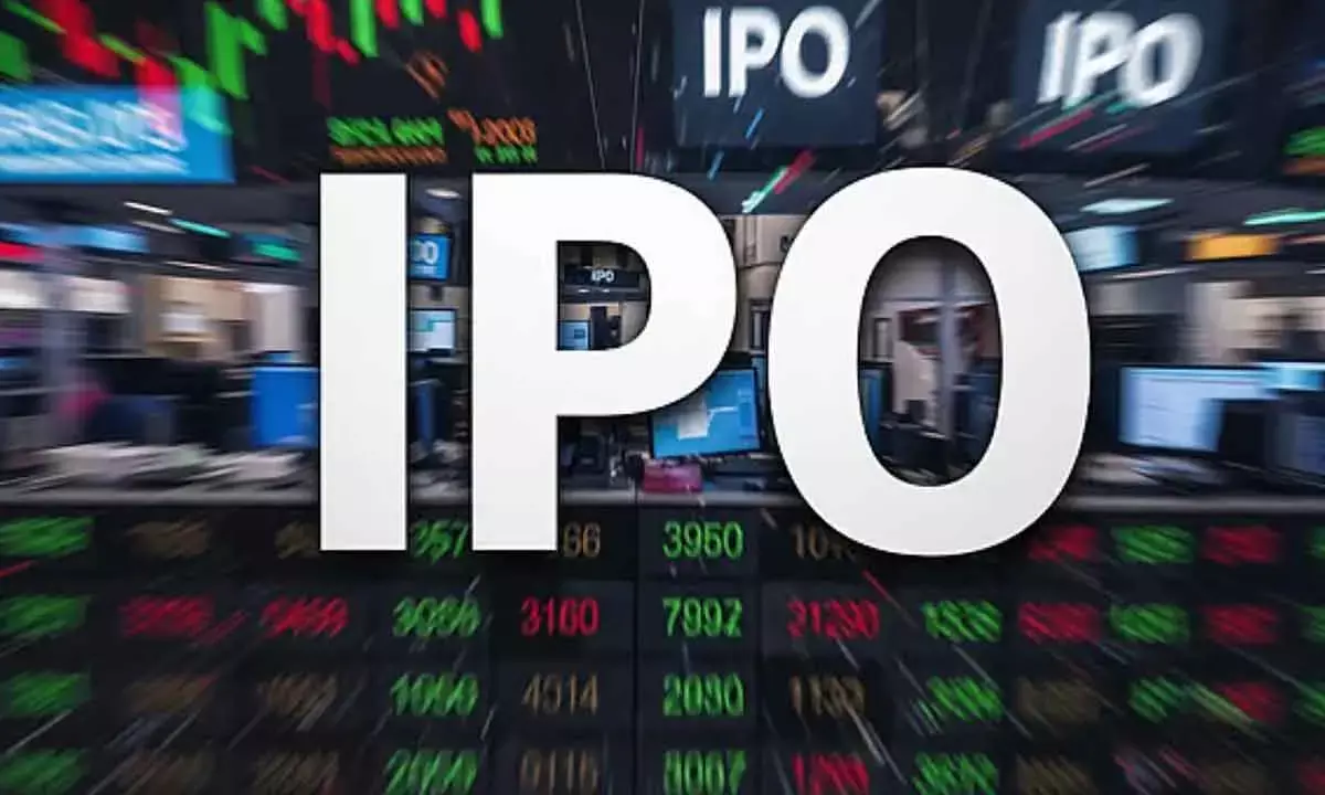 Emmvee Photovoltaic’s Rs 2,900-cr IPO on Nov 11