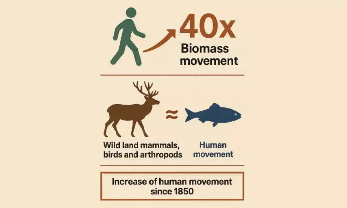 Humans movements rose 40x since Industrial Revolution, says study