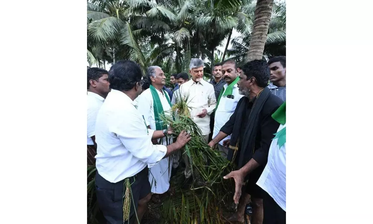 CM Naidu tours cyclone-hit areas, distributes relief material