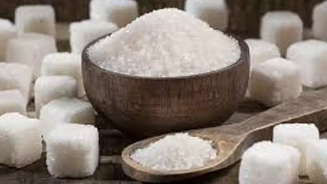 Sugar surplus builds on lower ethanol diversion