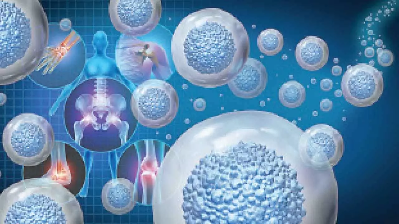 Stem cells sound magical, but theyre not all created equal. Heres what you need to know Stem cells sound magical, but theyre not all created equal. Heres what you need to know