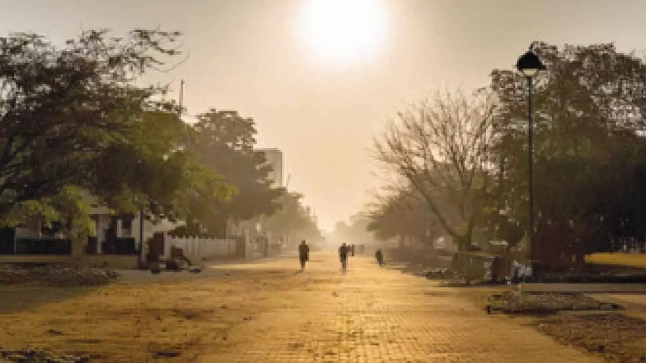 Heat-related deaths rose by 63% since 1990s, claiming over 5L lives yearly: Lancet report