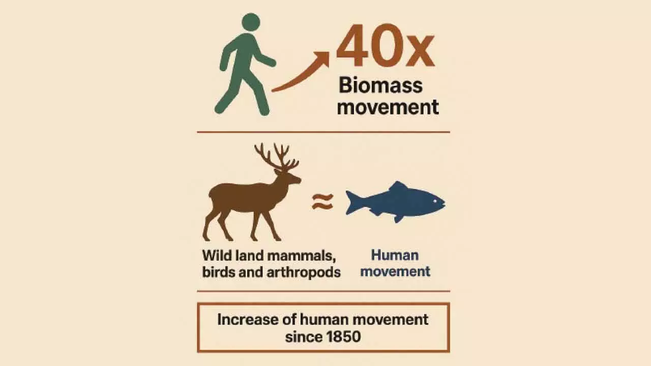 Humans movements rose 40x since Industrial Revolution, says study