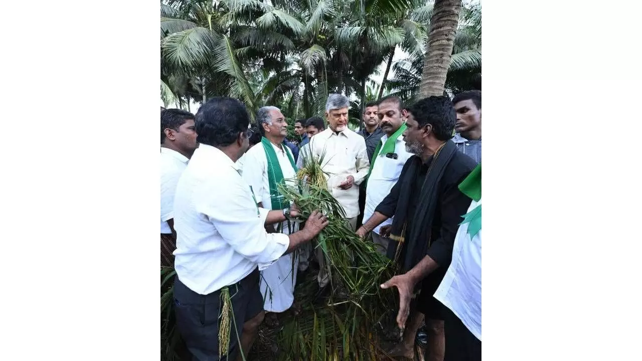 CM Naidu tours cyclone-hit areas, distributes relief material