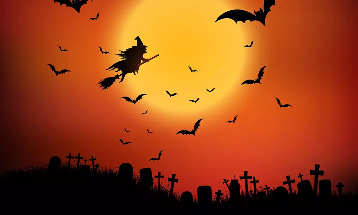 Happy Halloween 2025: Celebrate the Spookiest Night with Fun Wishes, Messages & Greetings Happy Halloween 2025: Celebrate the Spookiest Night with Fun Wishes, Messages & Greetings