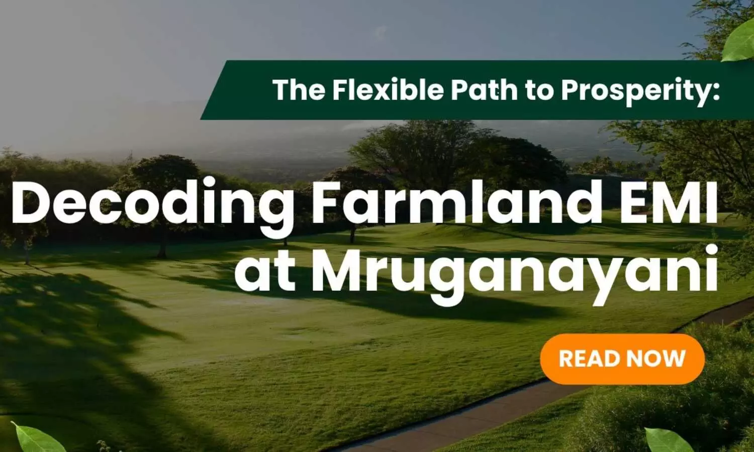 The Flexible Path to Prosperity: Decoding Farmland EMI at Mruganayani The Flexible Path to Prosperity: Decoding Farmland EMI at Mruganayani