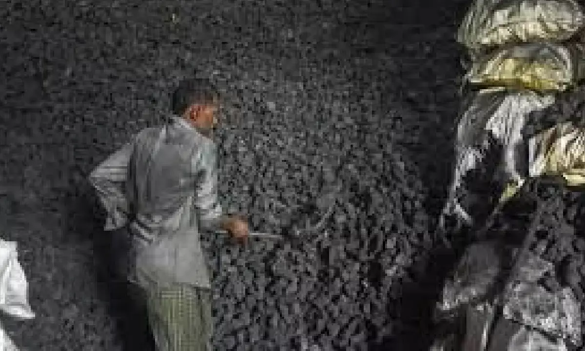 Coal India chief calls for biz overhaul amid changing energy landscape