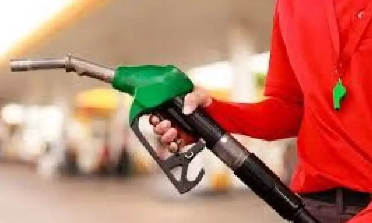 Festive season drives petrol sales but diesel lag