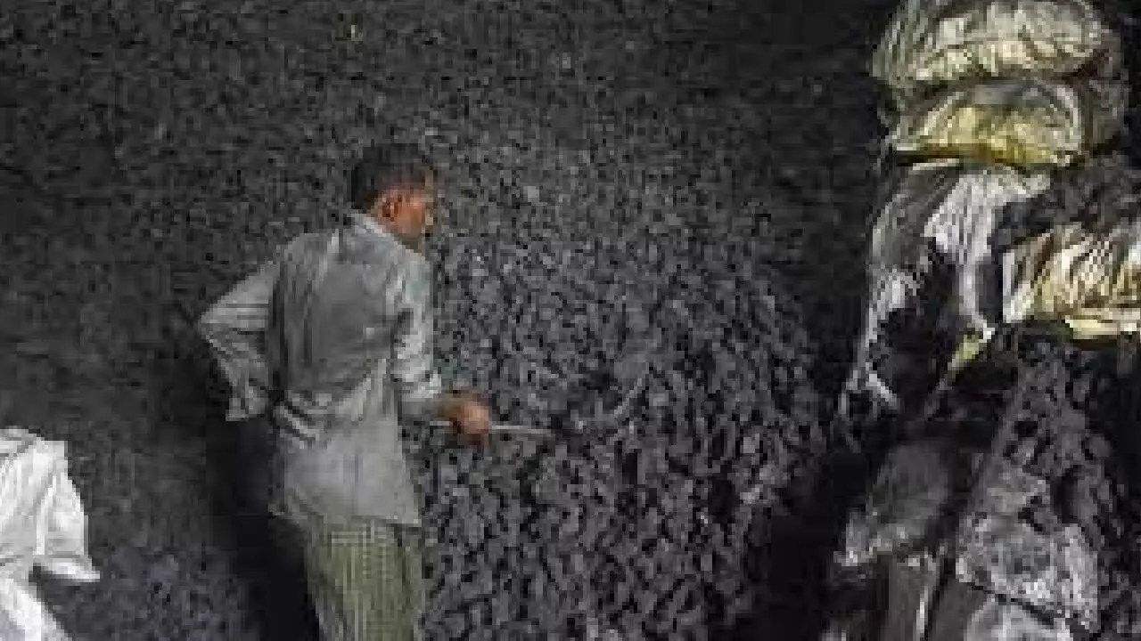 Coal India chief calls for biz overhaul amid changing energy landscape