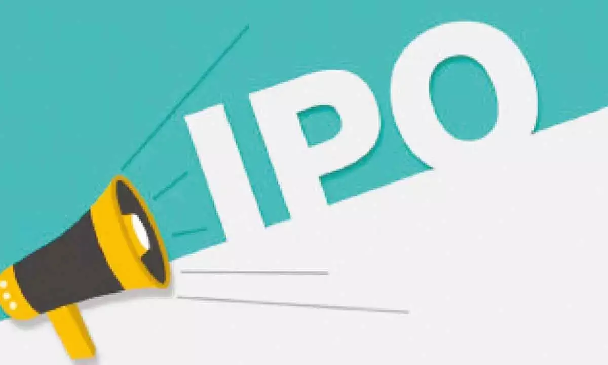 SAEL Industries eyes Rs 4,575 cr via IPO