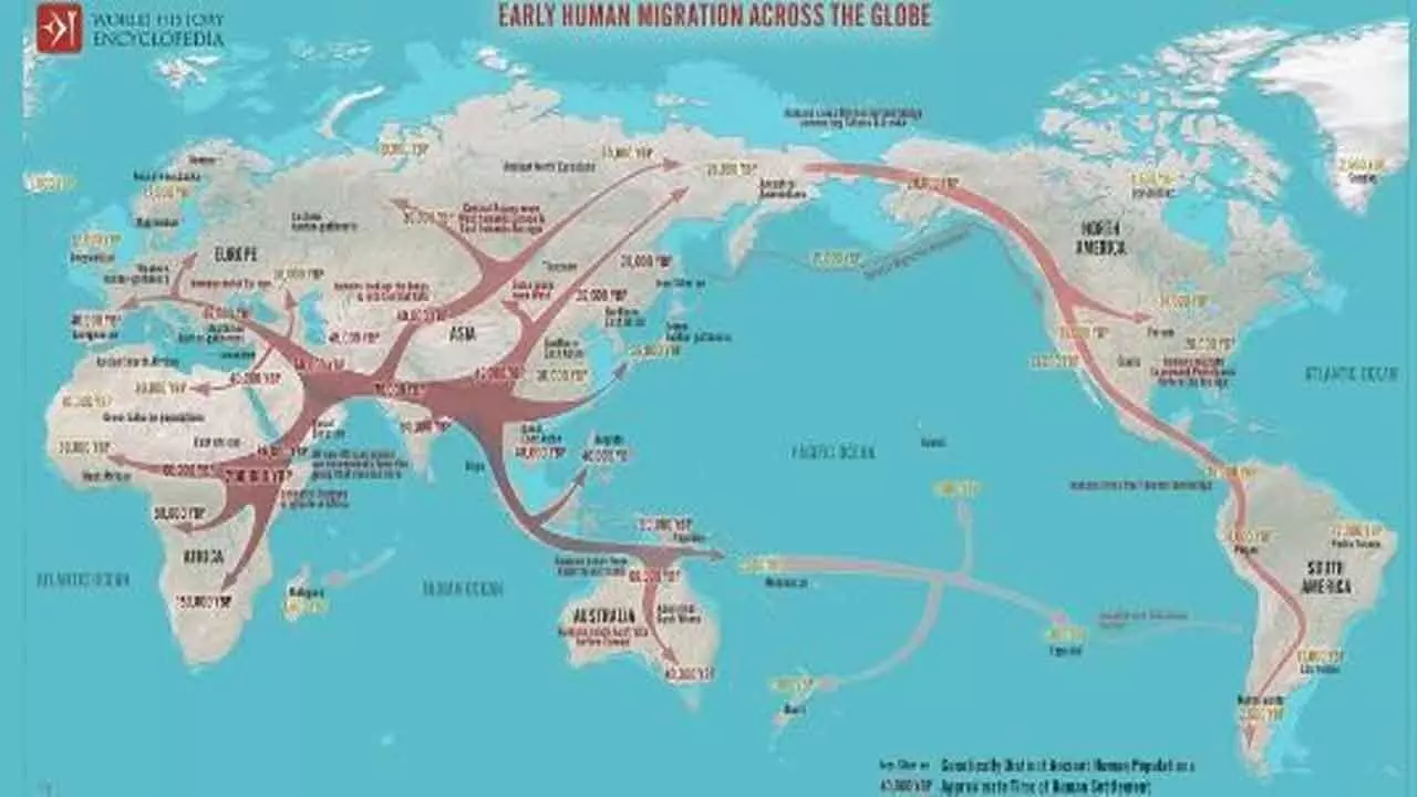 New study proposes coastal route as key to humanity’s global journey New study proposes coastal route as key to humanity’s global journey