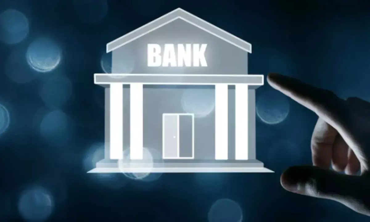 Fin Minister bats for big, world-class banks in India