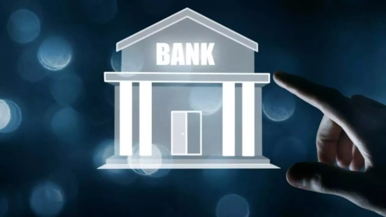 Fin Minister bats for big, world-class banks in India