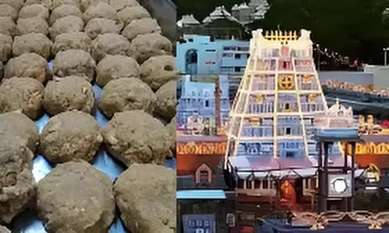 Tirupati Temple Laddu Scam: CBI Busts ₹250 Crore Fake Dairy Supplying Adulterated Ghee for Sacred Prasadam