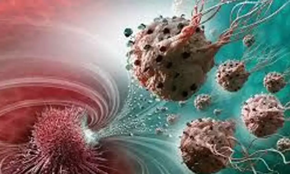 How scientists are hacking bacteria to treat cancer, self-destruct, then vanish without trace