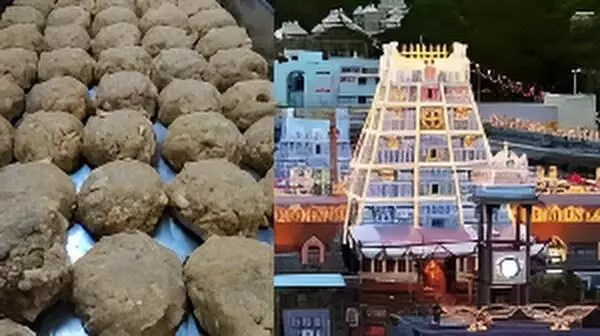 Tirupati Temple Laddu Scam: CBI Busts ₹250 Crore Fake Dairy Supplying Adulterated Ghee for Sacred Prasadam