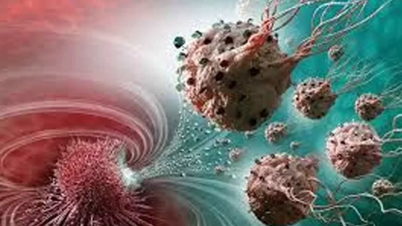 How scientists are hacking bacteria to treat cancer, self-destruct, then vanish without trace