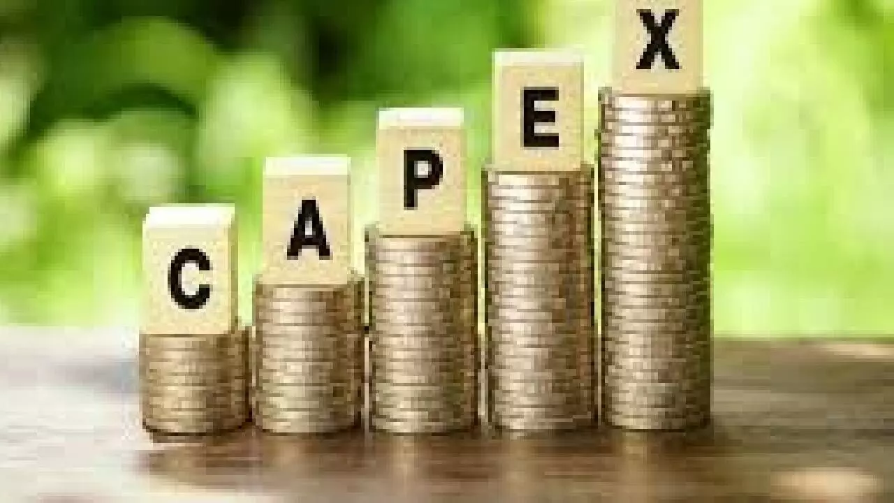 Medium-term growth outlook firm on strong private capex