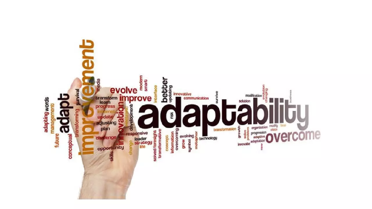 Adaptability becomes new career currency Adaptability becomes new career currency