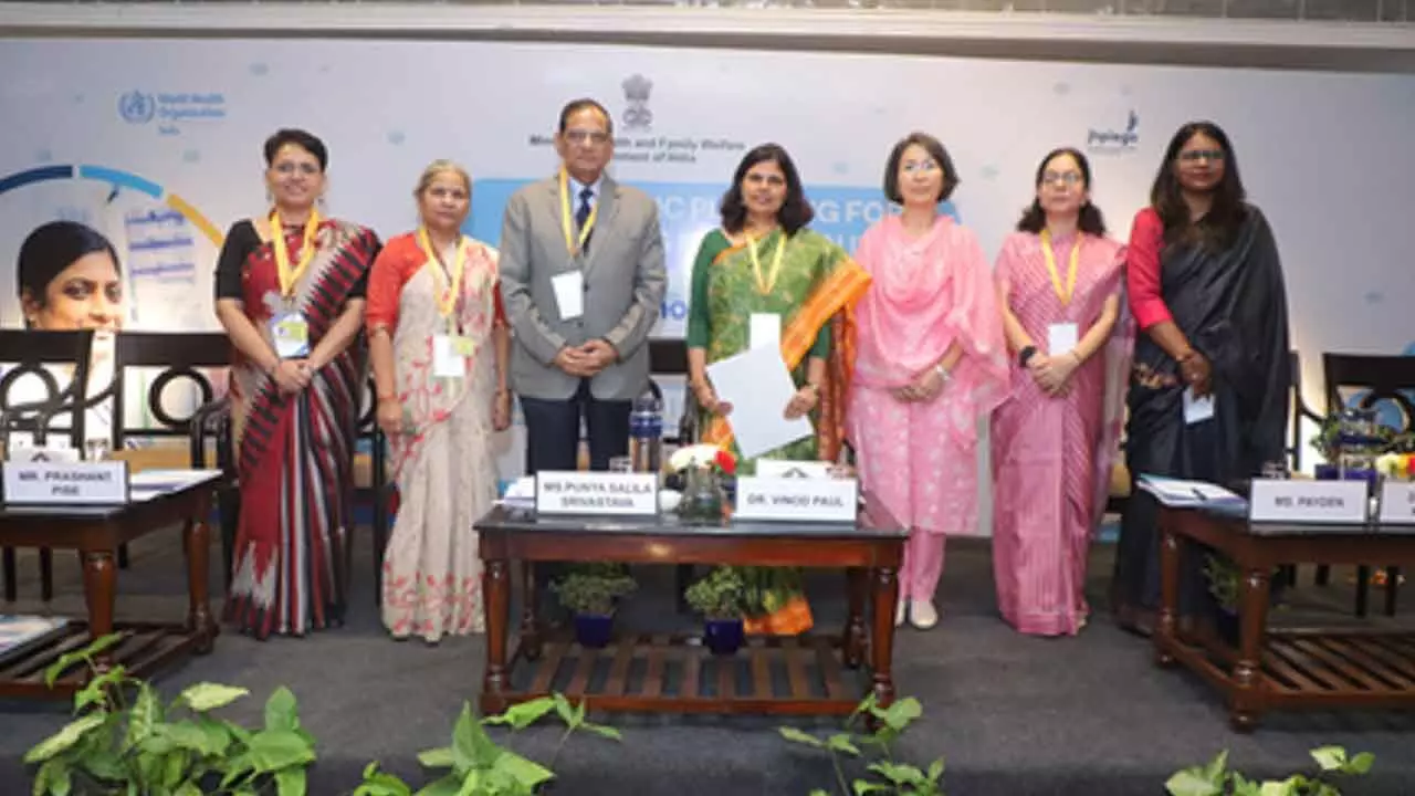 Nurses, midwives backbone of healthcare system: Experts