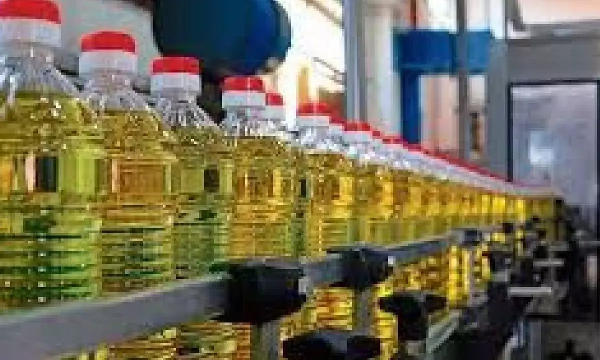Edible oil imports up 22% to Rs 1.61L cr in 2024-25: SEA