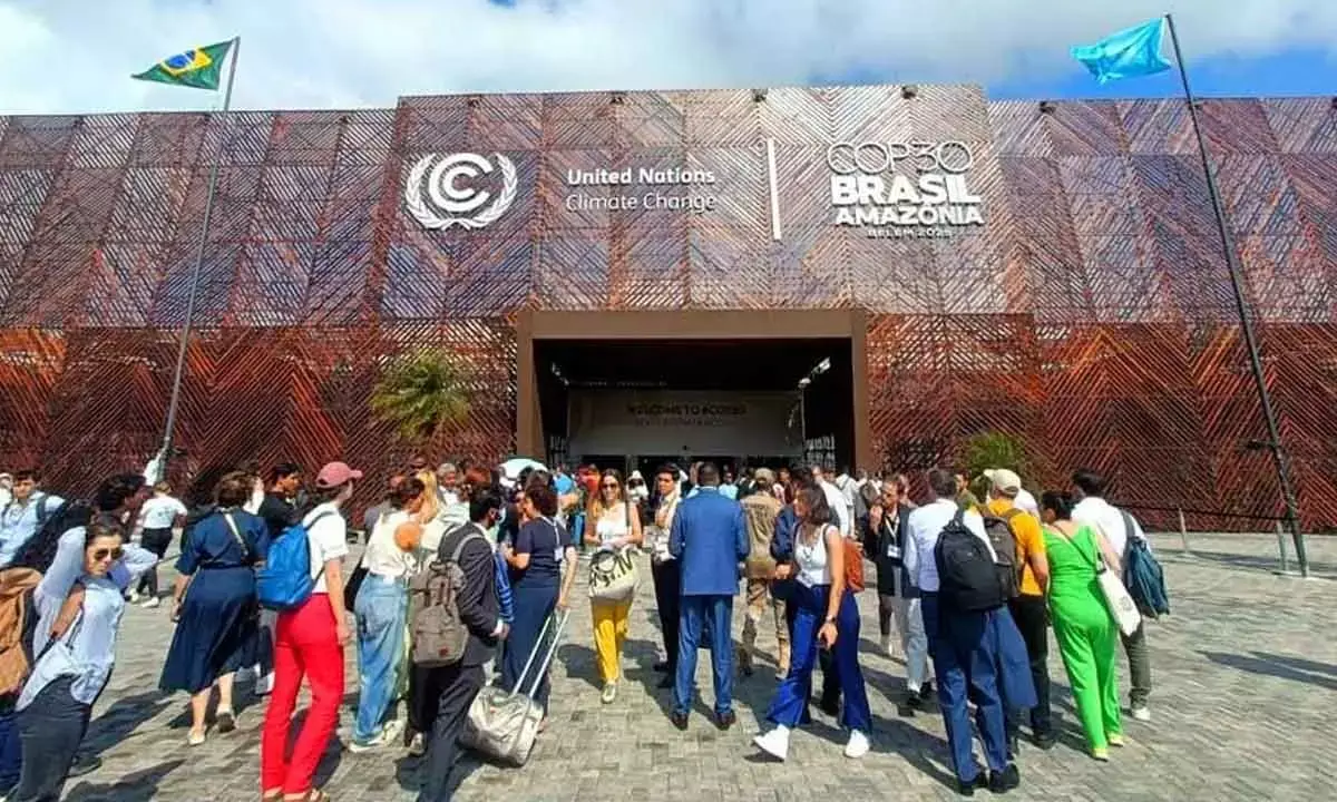 COP30 makes individual climate actions seem small; experts call for working in groups