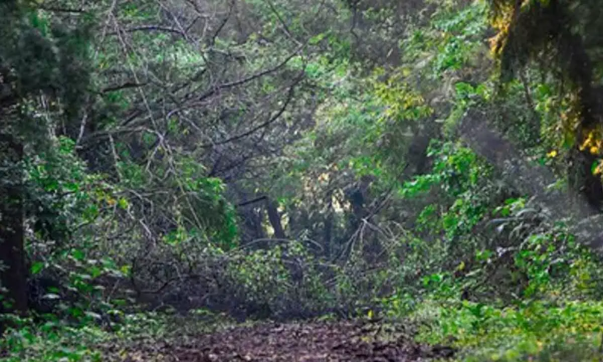 Biosphere reserves testament to culture, sustainable development Biosphere reserves testament to culture, sustainable development