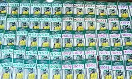 Kerala Lottery Result Today (17 November 2025): Bhagyathara BT-29 Winning Numbers Announced