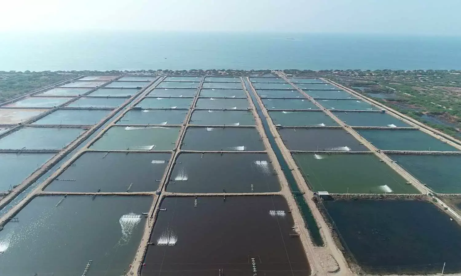 Kings Infra Ventures Limited to set up Aqua Tech Park in Srikakulam Project envisages investment of  ₹2,500 crore in 500 acres