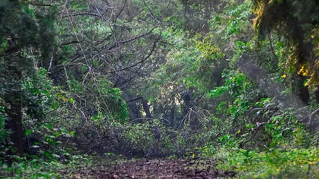 Biosphere reserves testament to culture, sustainable development Biosphere reserves testament to culture, sustainable development