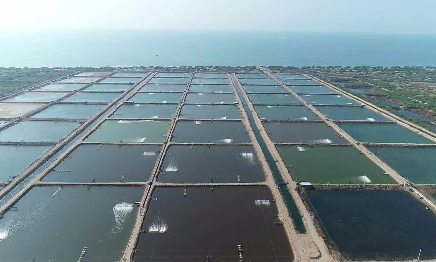 Kings Infra Ventures Limited to set up Aqua Tech Park in Srikakulam Project envisages investment of ₹2,500 crore in 500 acres Kings Infra Ventures Limited to set up Aqua Tech Park in Srikakulam Project envisages investment of ₹2,500 crore in 500 acres