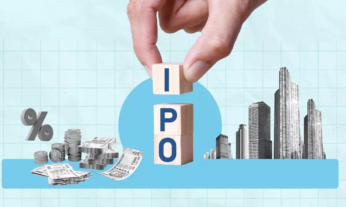 IPO boom raises red flags, says CEA