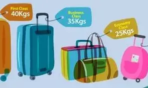 Air India Starts Check-in & Baggage Services at Delhi Metro: Flight Eligibility, Timings & How It Works