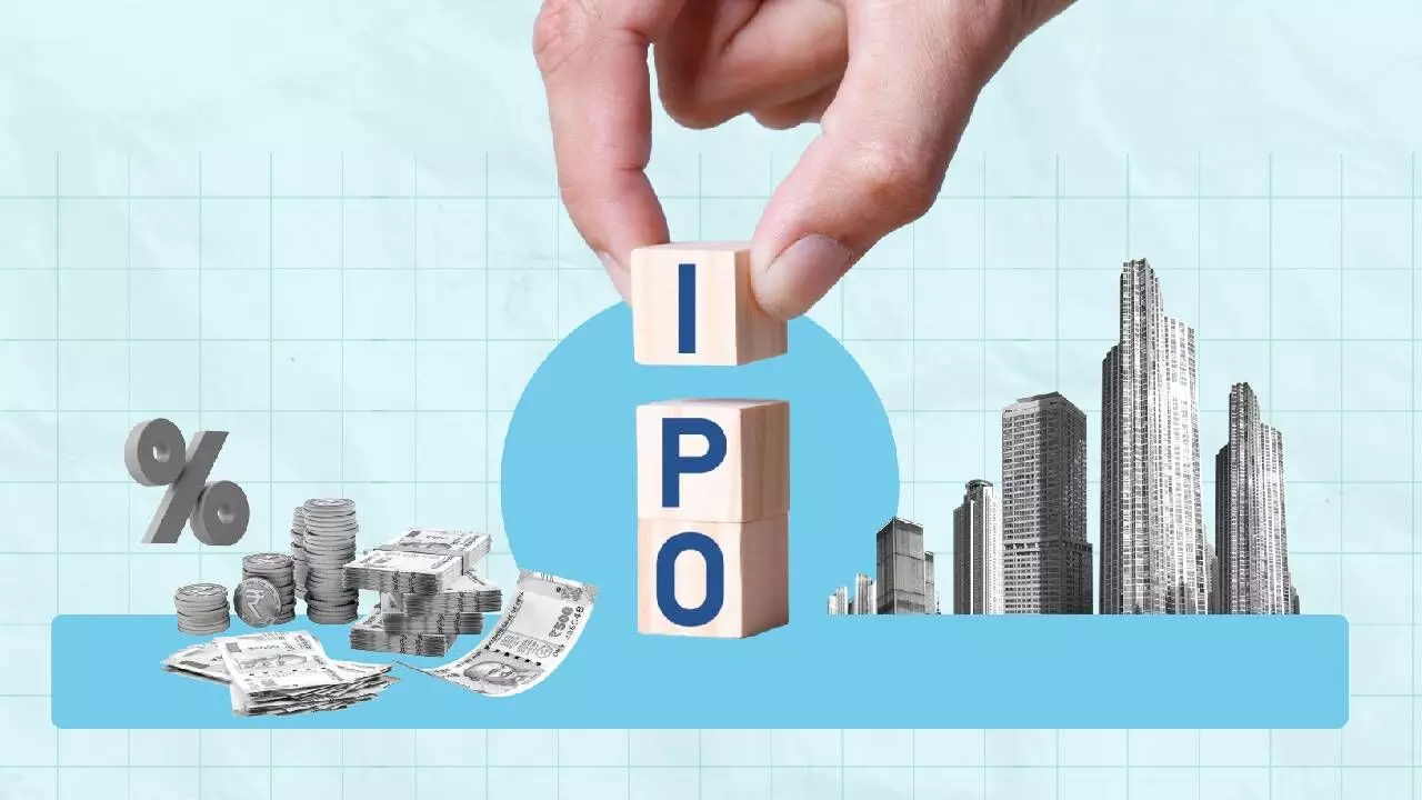 IPO boom raises red flags, says CEA IPO boom raises red flags, says CEA