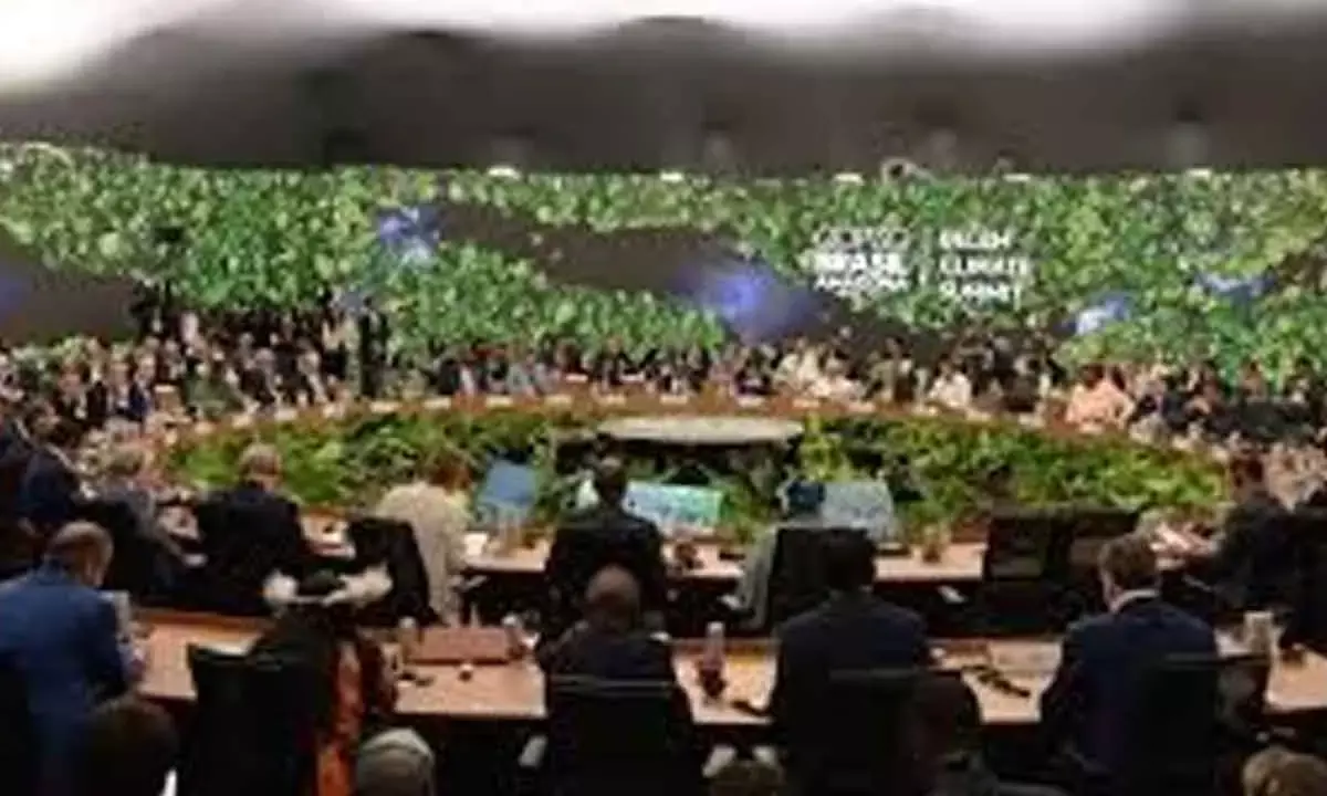 WWF, Greenpeace demand roadmap on deforestation at COP30 summit