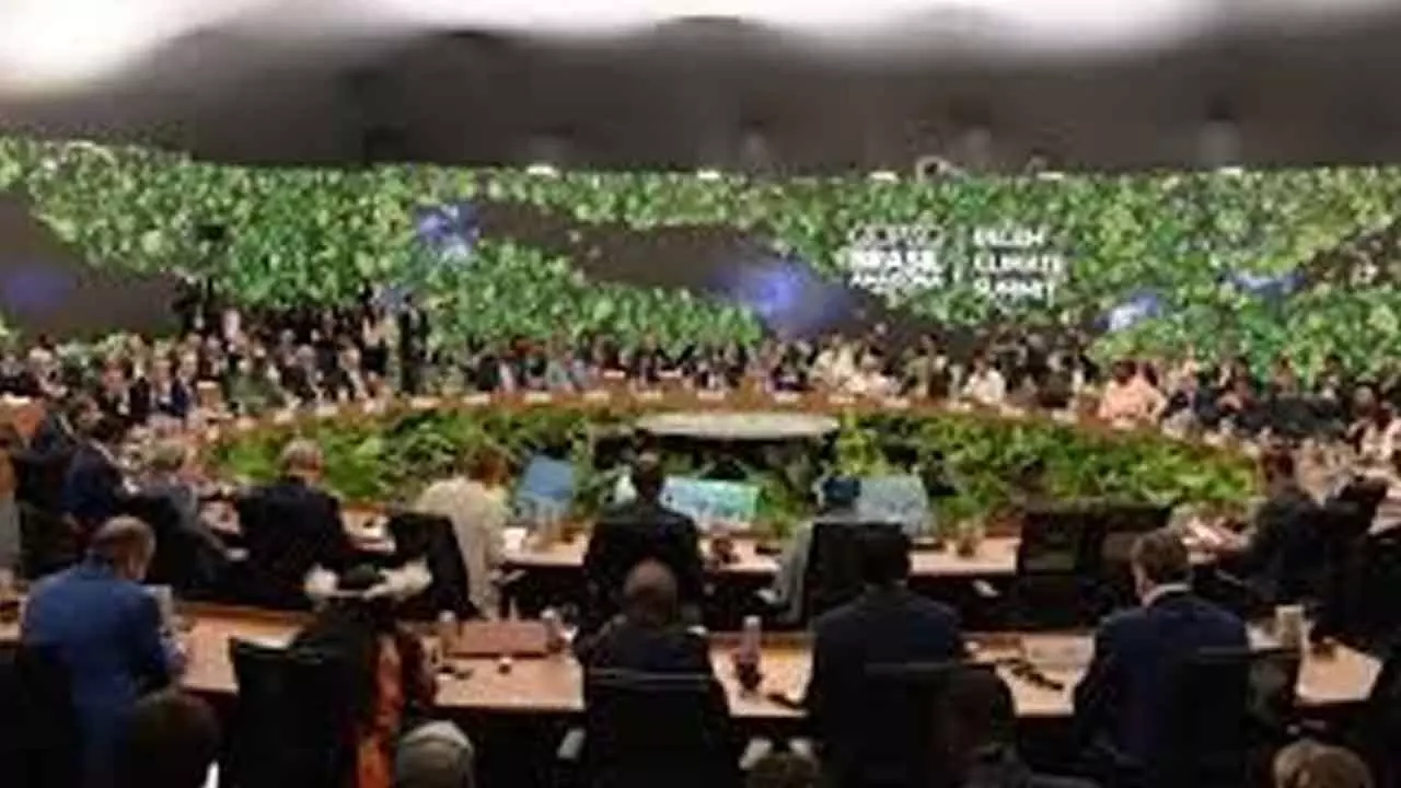 WWF, Greenpeace demand roadmap on deforestation at COP30 summit WWF, Greenpeace demand roadmap on deforestation at COP30 summit