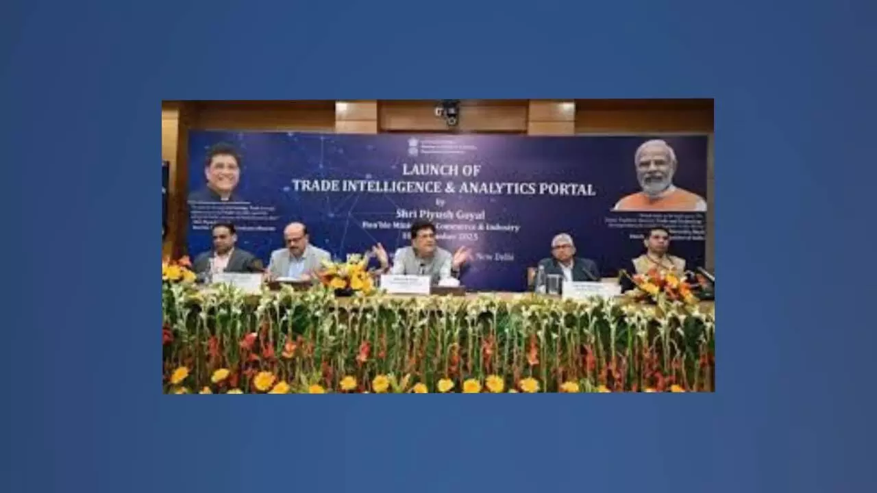 TIA portal opens new insights for importers, exporters: Goyal