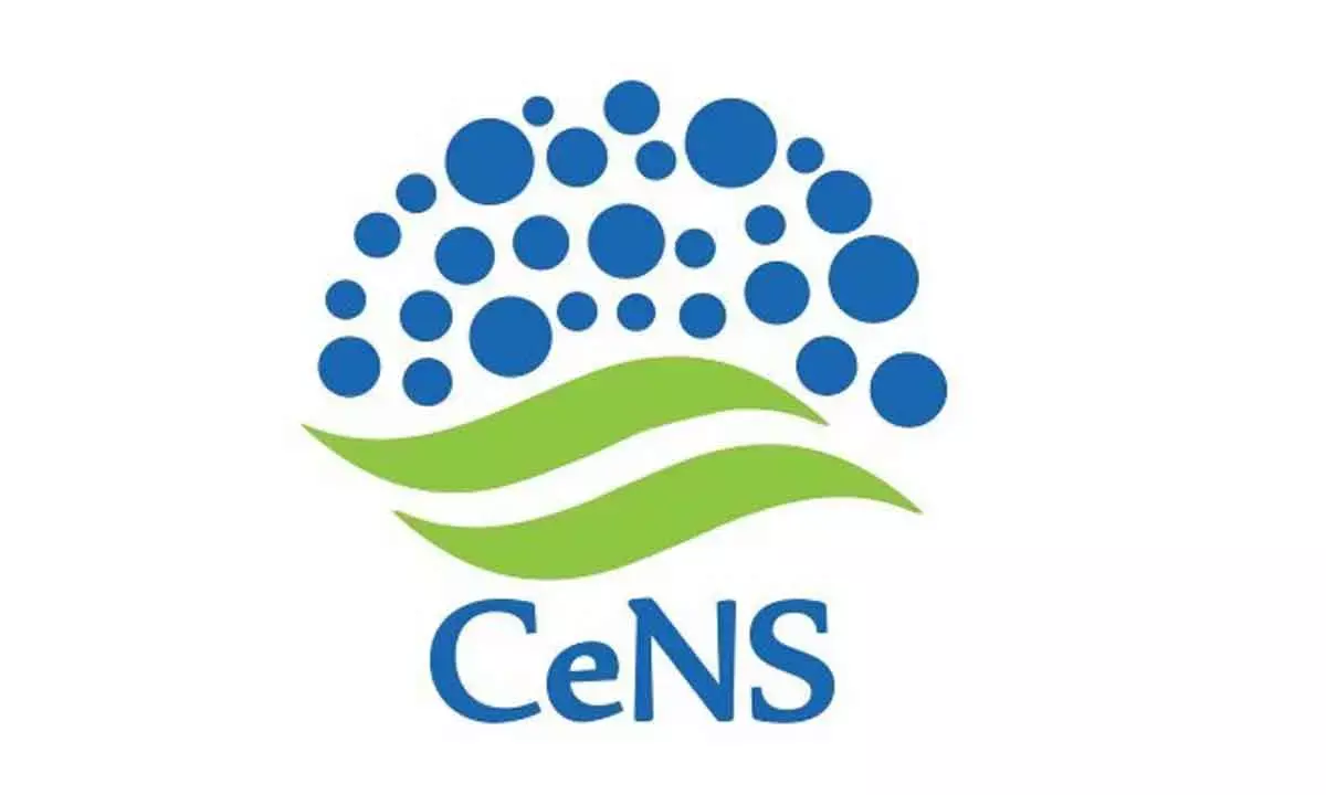 Scientists develop cathode material for zinc batteries with increased storage