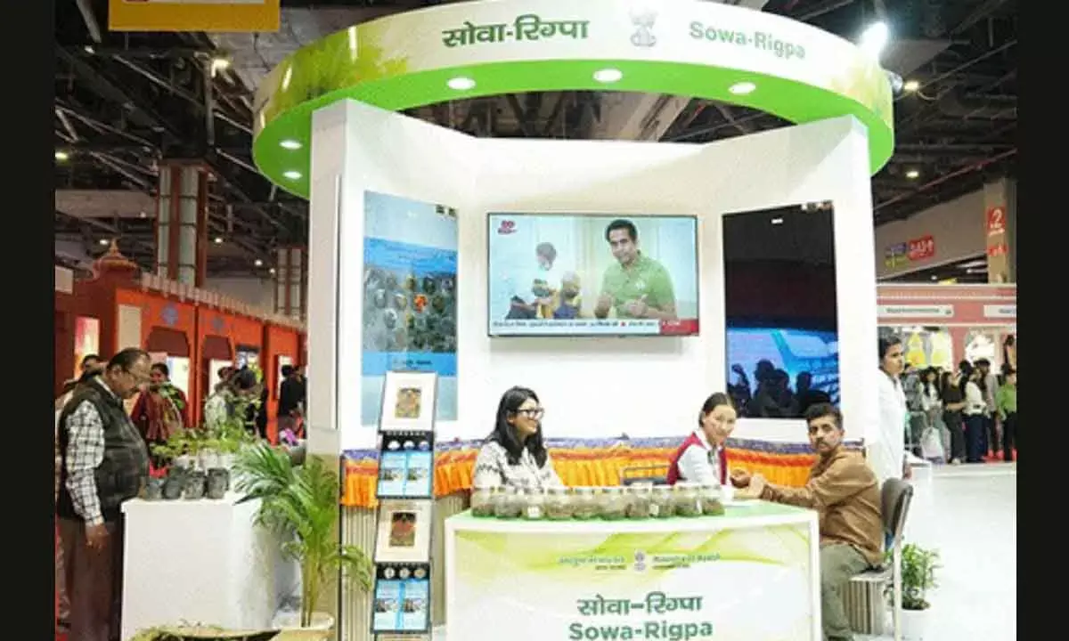 Ayush pavilion offers free consultations, medicines at IITF