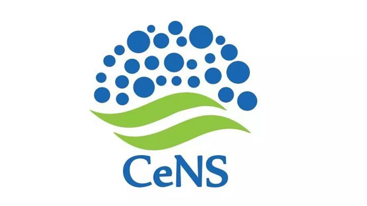 Scientists develop cathode material for zinc batteries with increased storage