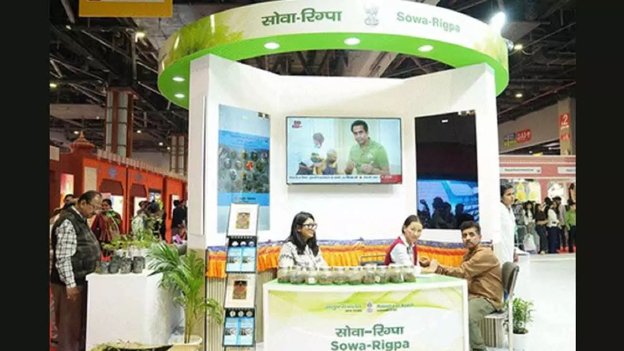 Ayush pavilion offers free consultations, medicines at IITF