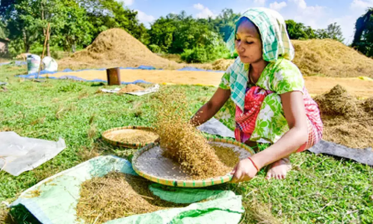 India records decade’s highest surge in foodgrain production